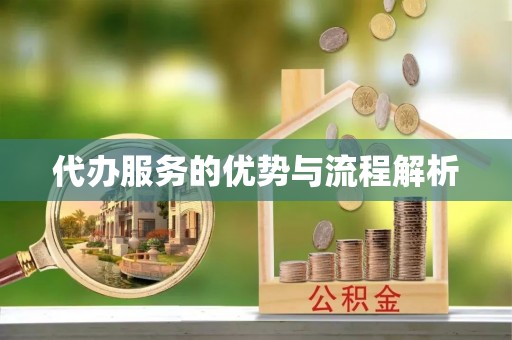 东丰代办服务的优势与流程解析