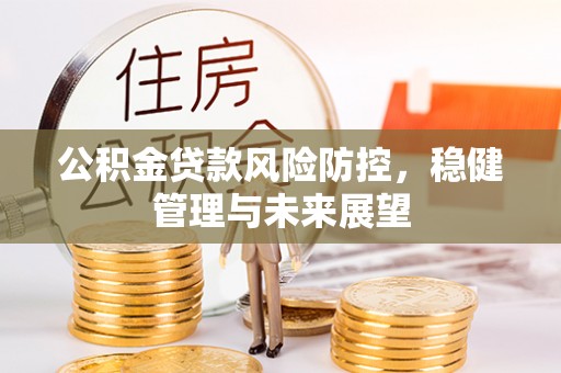 东丰公积金贷款风险防控，稳健管理与未来展望