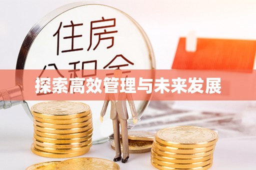 东丰探索高效管理与未来发展