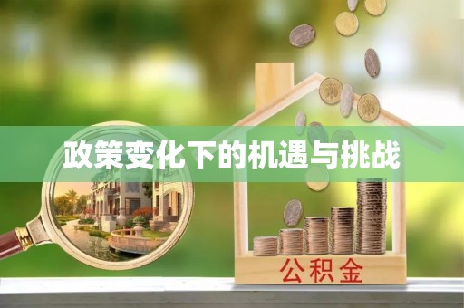 东丰政策变化下的机遇与挑战