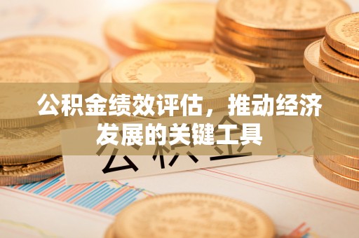 东丰公积金绩效评估，推动经济发展的关键工具