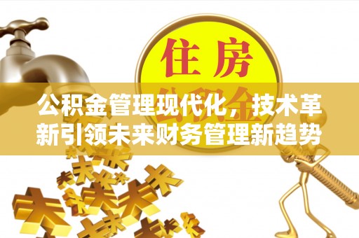 东丰公积金管理现代化，技术革新引领未来财务管理新趋势