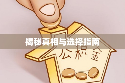东丰揭秘真相与选择指南