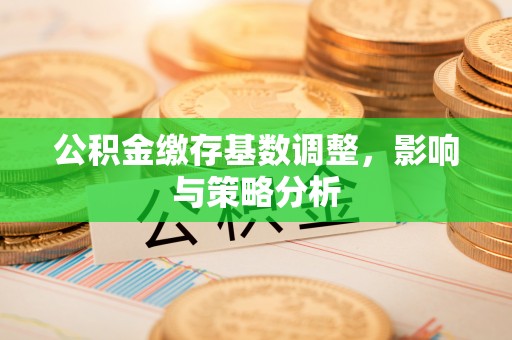 东丰公积金缴存基数调整，影响与策略分析