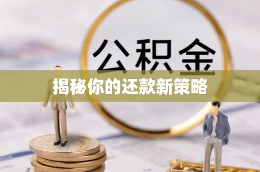 东丰揭秘你的还款新策略
