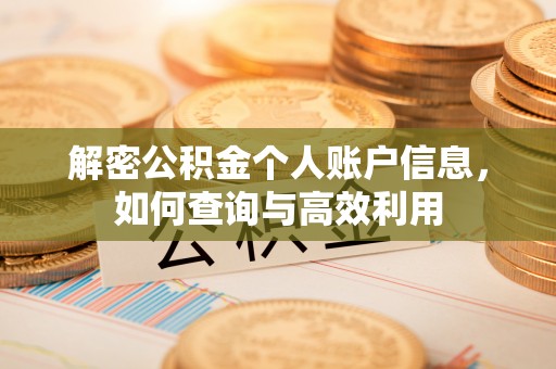 东丰解密公积金个人账户信息，如何查询与高效利用