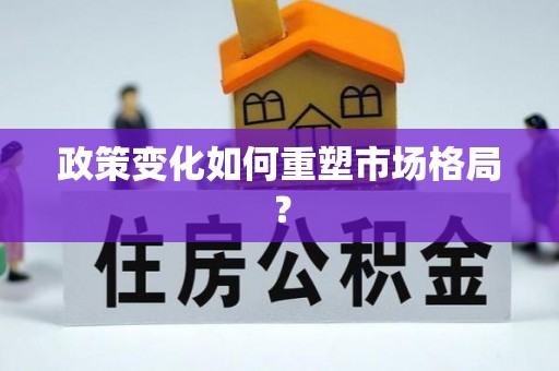 东丰政策变化如何重塑市场格局？