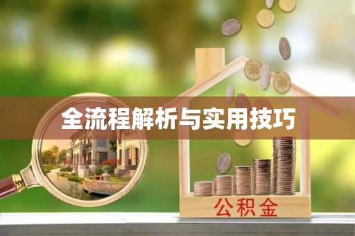 东丰全流程解析与实用技巧