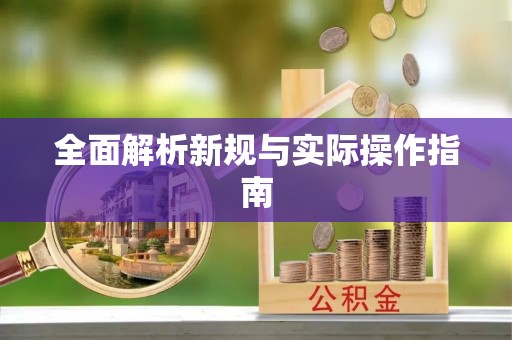 东丰全面解析新规与实际操作指南