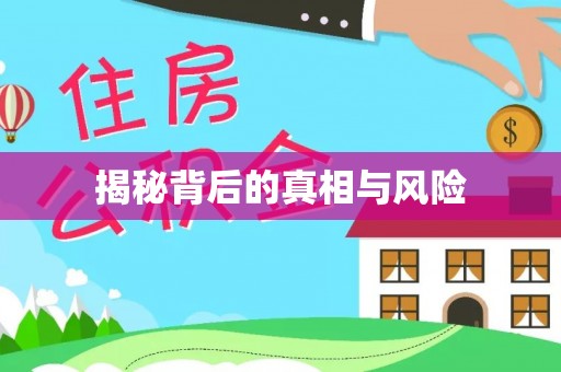 东丰揭秘背后的真相与风险