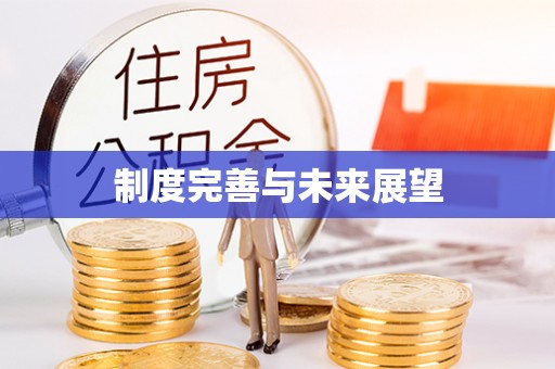 东丰制度完善与未来展望