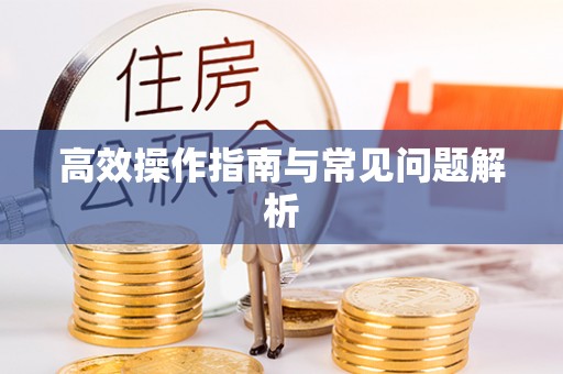 东丰高效操作指南与常见问题解析