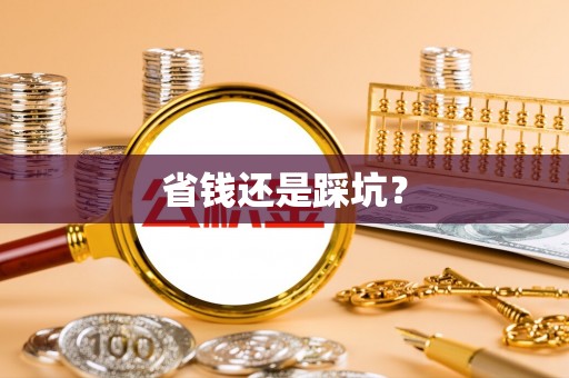 东丰省钱还是踩坑？