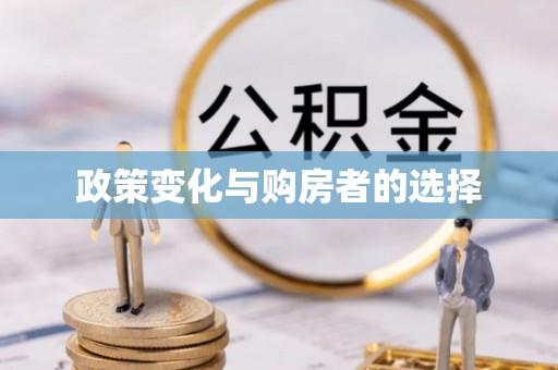 东丰政策变化与购房者的选择