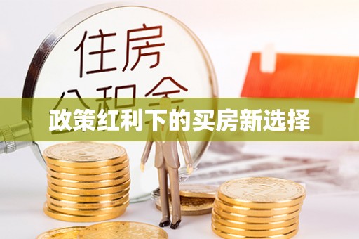 东丰政策红利下的买房新选择