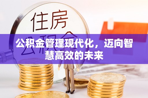 东丰公积金管理现代化，迈向智慧高效的未来