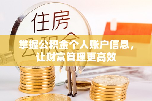 东丰掌握公积金个人账户信息，让财富管理更高效
