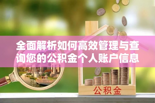 东丰全面解析如何高效管理与查询您的公积金个人账户信息