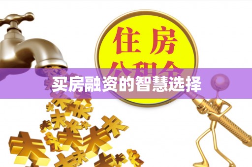 东丰买房融资的智慧选择