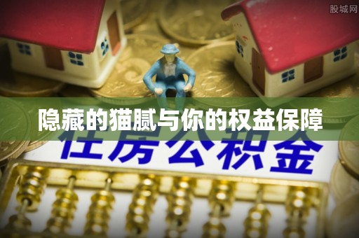 东丰隐藏的猫腻与你的权益保障