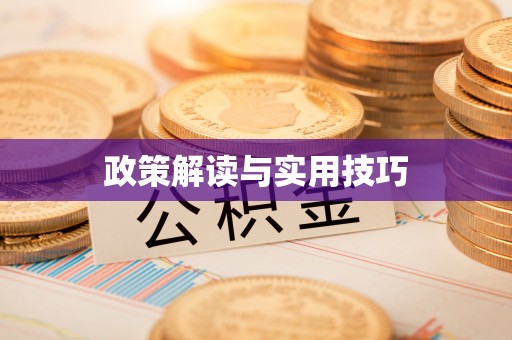 东丰政策解读与实用技巧