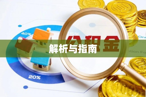 东丰解析与指南