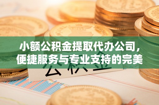 东丰小额公积金提取代办公司，便捷服务与专业支持的完美结合