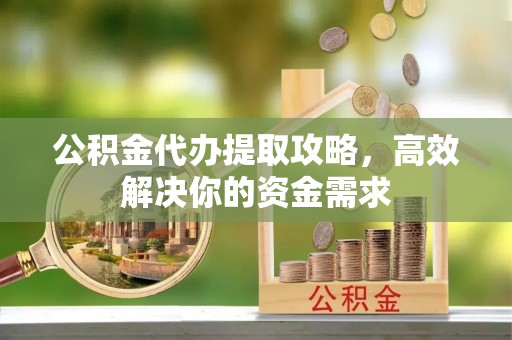 东丰公积金代办提取攻略，高效解决你的资金需求