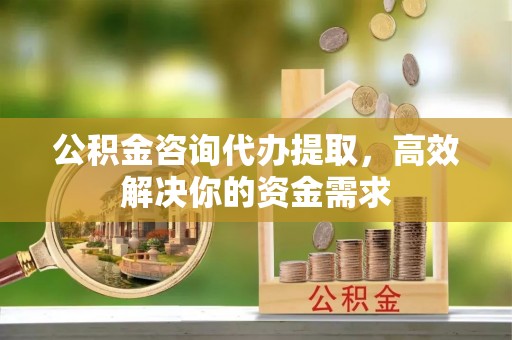 东丰公积金咨询代办提取，高效解决你的资金需求