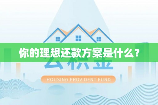 东丰你的理想还款方案是什么？