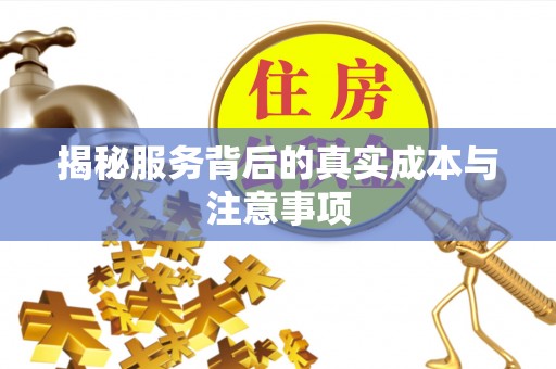 东丰揭秘服务背后的真实成本与注意事项