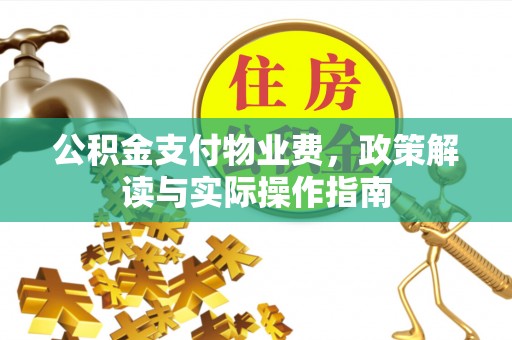 东丰公积金支付物业费，政策解读与实际操作指南