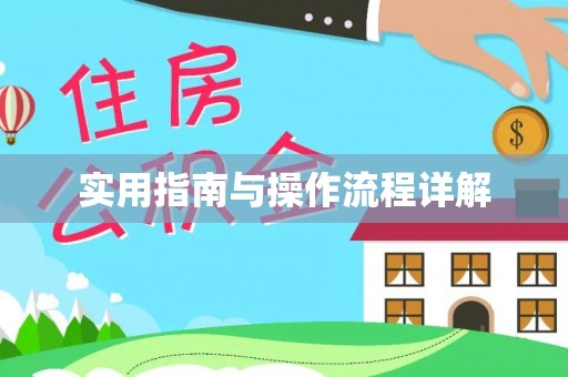 东丰实用指南与操作流程详解