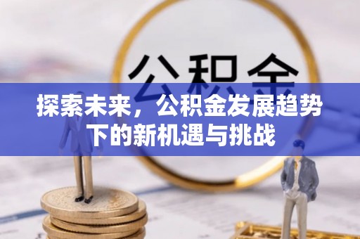 东丰探索未来，公积金发展趋势下的新机遇与挑战