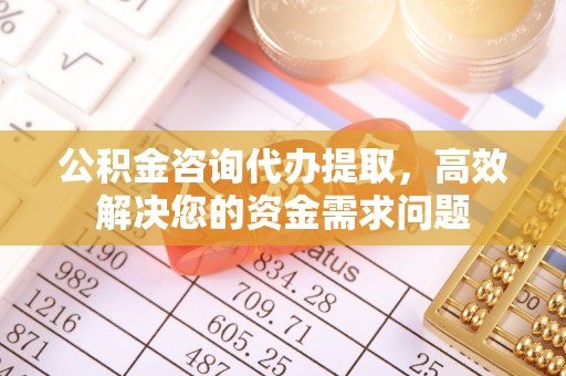 东丰公积金咨询代办提取，高效解决您的资金需求问题