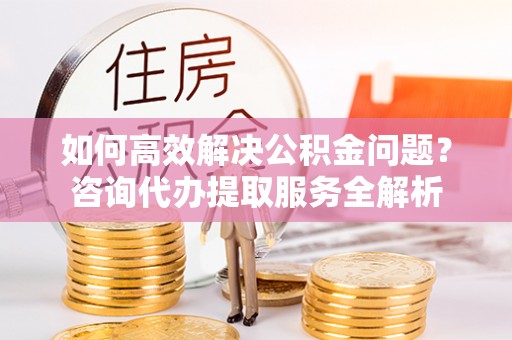 东丰如何高效解决公积金问题？咨询代办提取服务全解析