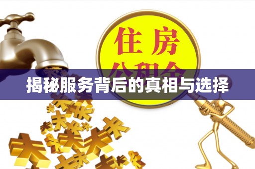 东丰揭秘服务背后的真相与选择