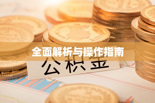 东丰全面解析与操作指南