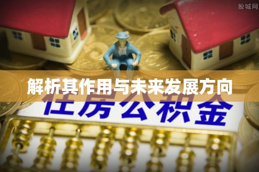 东丰解析其作用与未来发展方向