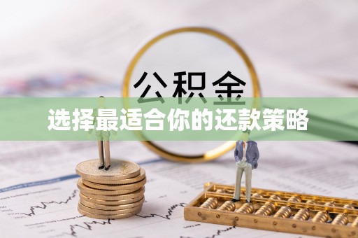 东丰选择最适合你的还款策略