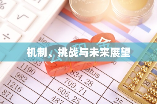 东丰机制、挑战与未来展望