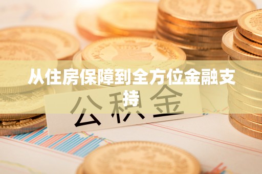 东丰从住房保障到全方位金融支持