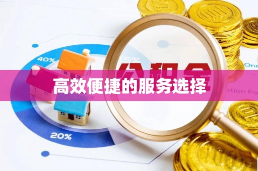东丰高效便捷的服务选择