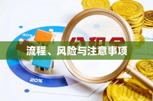 东丰流程、风险与注意事项