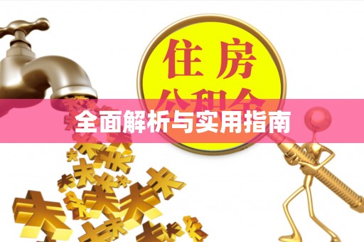 东丰全面解析与实用指南