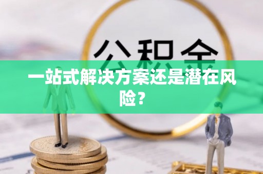 东丰一站式解决方案还是潜在风险？