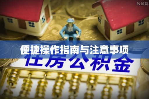 东丰便捷操作指南与注意事项