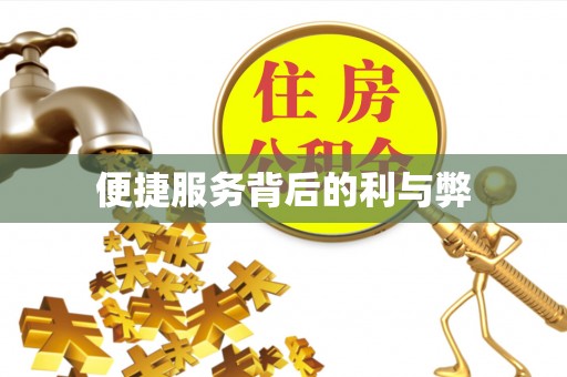 东丰便捷服务背后的利与弊