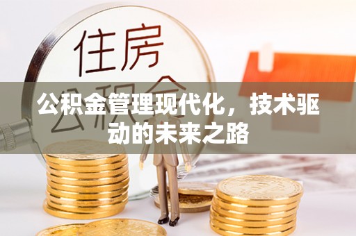 东丰公积金管理现代化，技术驱动的未来之路