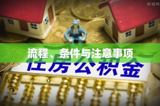 东丰流程、条件与注意事项